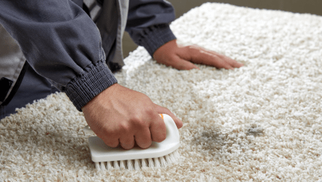 Professional Rug Cleaning Tarneit